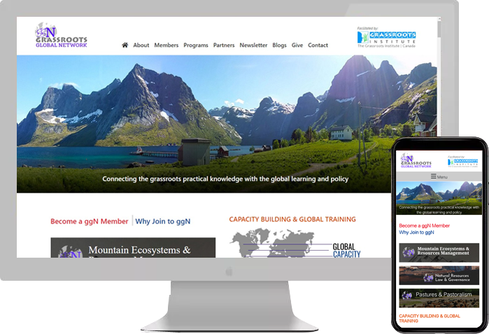 The Grassroots Global Network