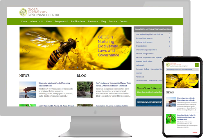 Global Biodiversity Governance Centre